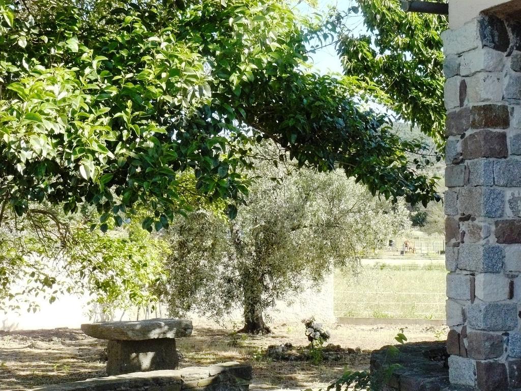 Appartamento Mas Le Chene Grimaud Esterno foto