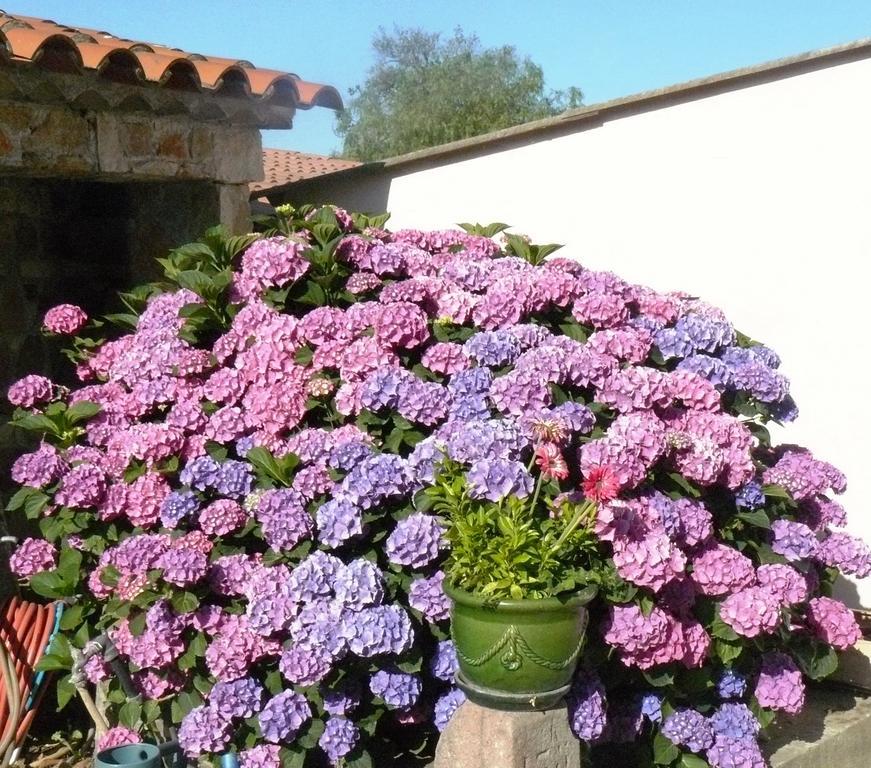 Appartamento Mas Le Chene Grimaud Esterno foto