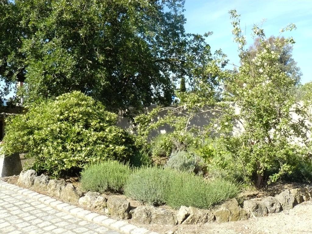 Appartamento Mas Le Chene Grimaud Esterno foto
