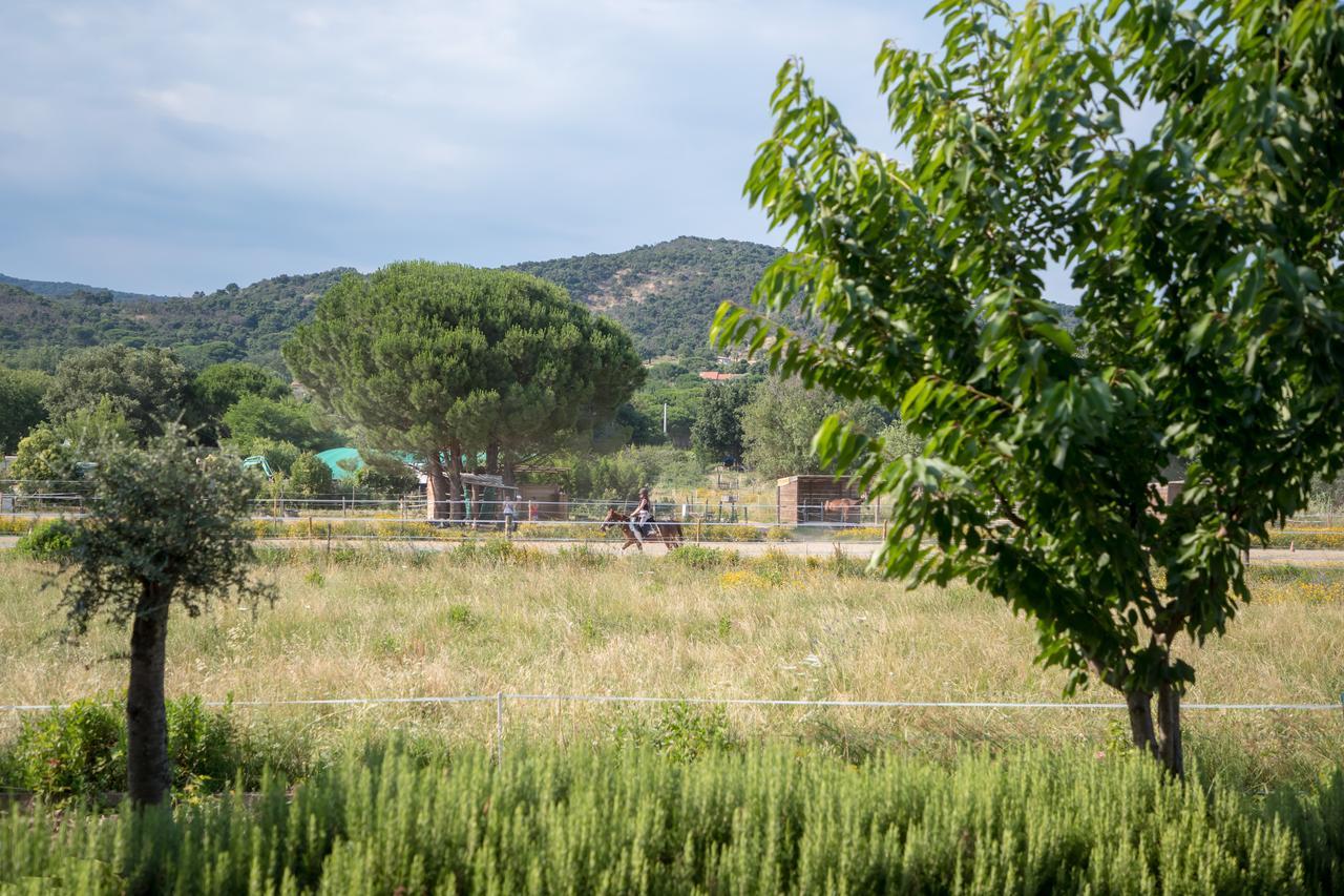 Appartamento Mas Le Chene Grimaud Esterno foto